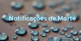 Notificações de Morte na CVP