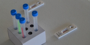 Cruz Vermelha Portuguesa disponibiliza 500 mil testes rápidos ao Estado